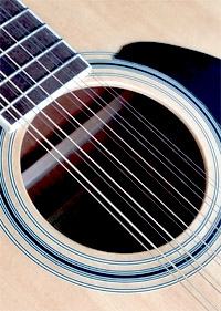 Guitar with twelve strings