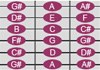 cropped fretboard with notes 
