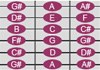 cropped fretboard with notes 